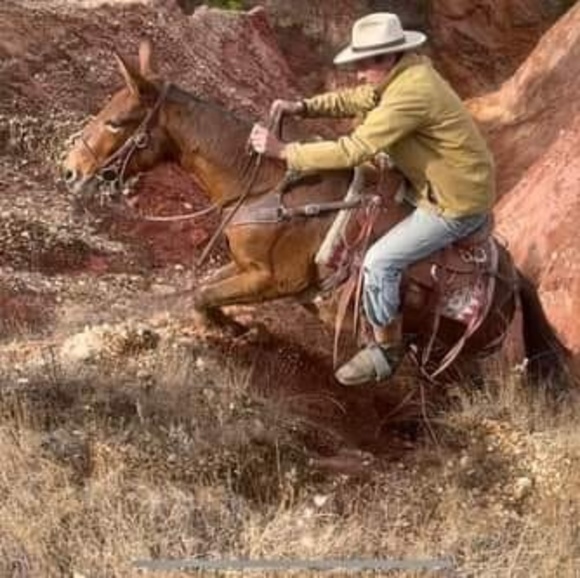 Meet your Posher, Trevor - Picture 1 of 1